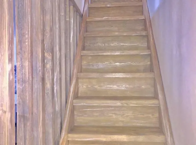 La Casa De Ardillas *